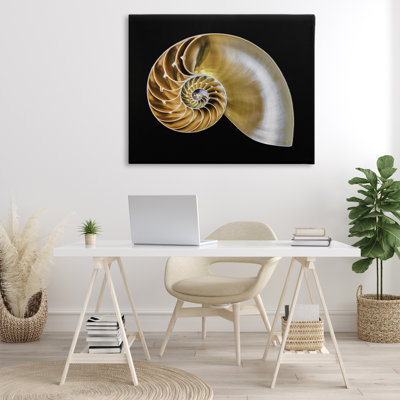 Tan Nautilus Shell on Black Canvas, design by Mary Lou Johnson