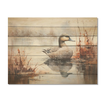 Misty Marsh Duck III - Duck Animal On Wood Print
