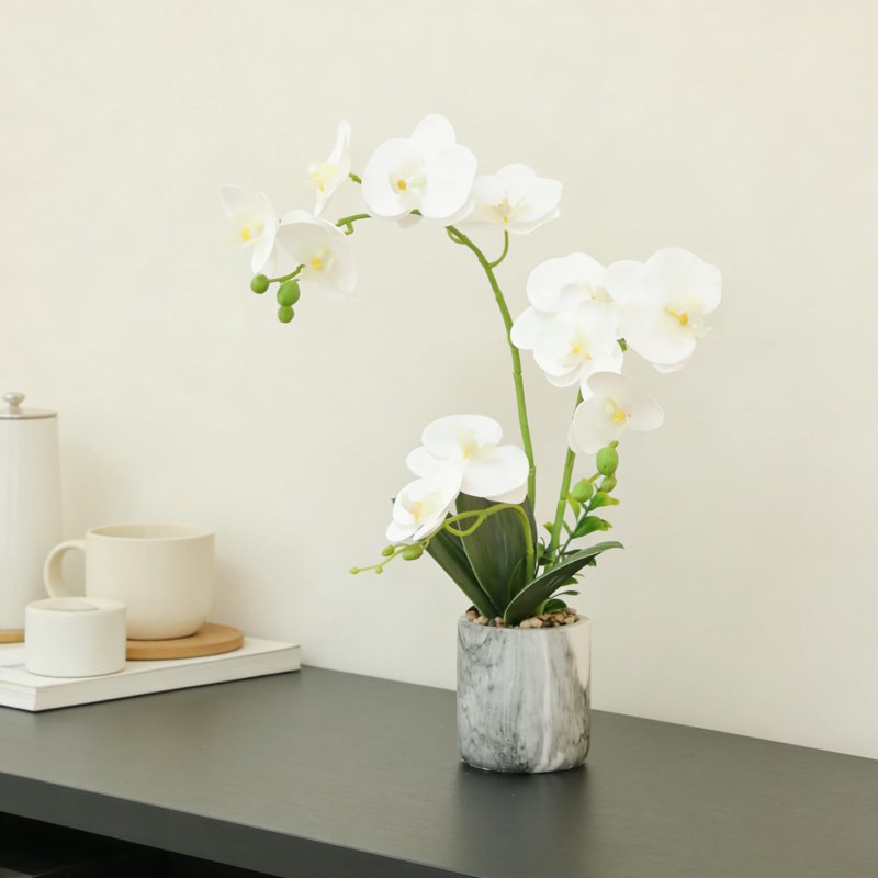 Orchidée en soie artificielle en pot avec tiges pliables, lavable et résistante à la décoloration