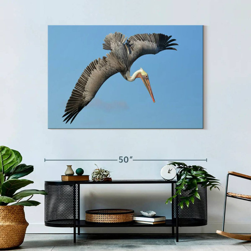 Crowle Pelican In The Air
