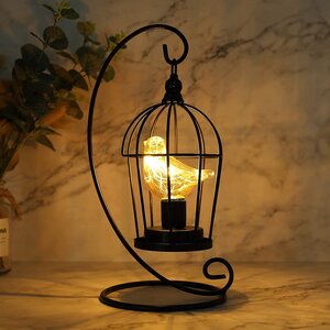 https://assets.wfcdn.com/im/30250953/resize-h300-w300%5Ecompr-r85/1505/150583796/Aniki+Metal+Novelty+Lamp.jpg