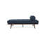 Chaise longue confortable et élégante pour la détente et la décoration