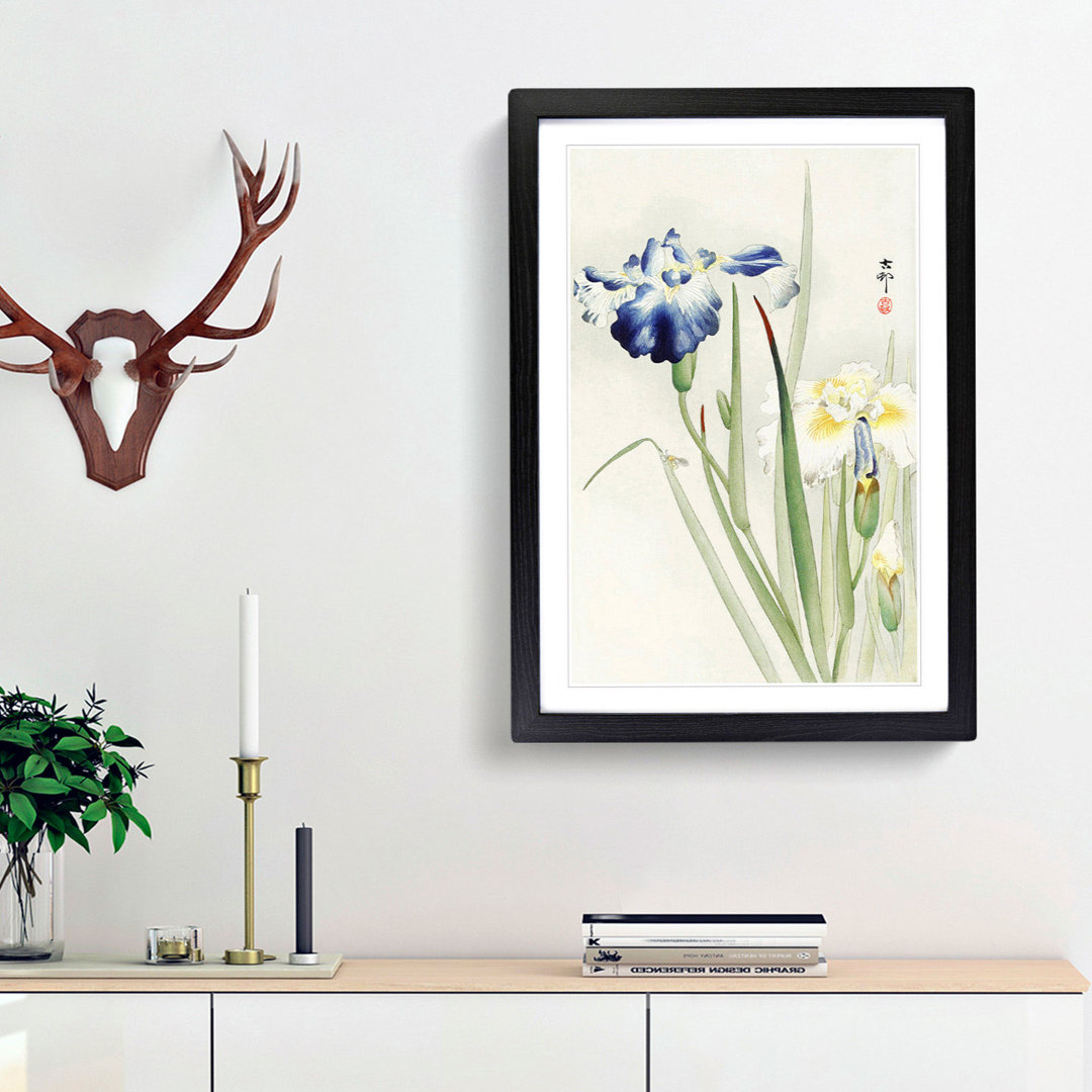 Irises by Ohara Koson - Framed Print