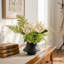 Arrangement organique moderne dans un pot