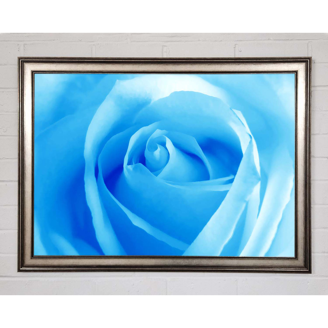 Baby Blue Rose - Einzelner Bilderrahmen Kunstdrucke