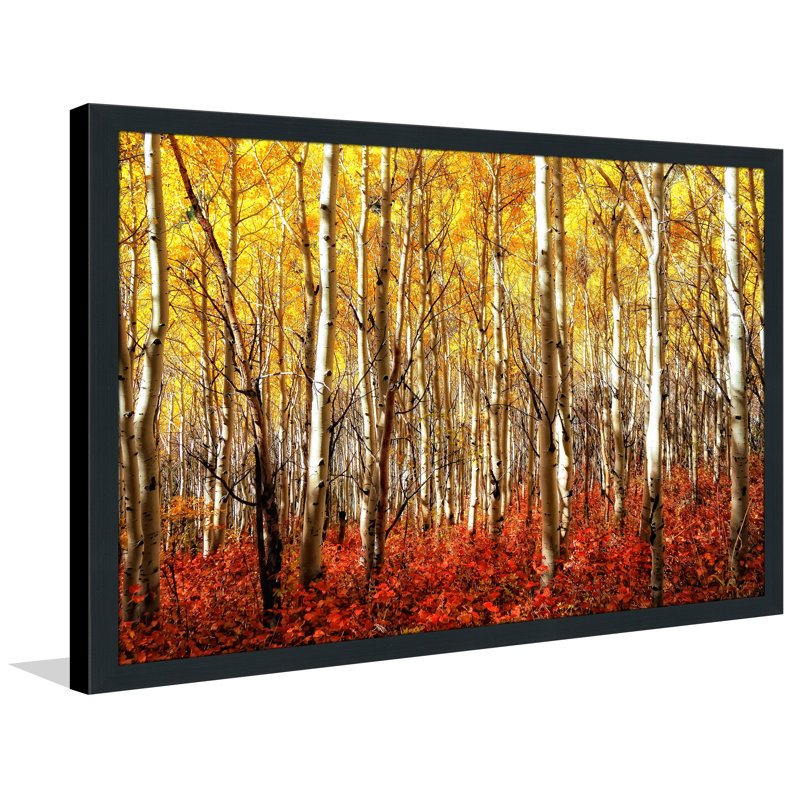 «Birch Trees», reproduction de photo encadrée, H 35,5 po x l 51,5 po x P 0,75 po