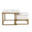Duluth Coffee Table with Storage