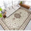 Elegance Oriental Area Rug in Brown/Ivory