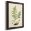 «Curtis Ferns II», reproduction sur toile encadrée-73982582