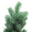 Mini arbre de Noël artificiel pin glacé 2 'en pot dans un seau galvanisé - non éclairé