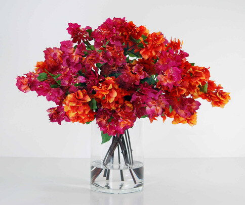 Bougainville dans un vase