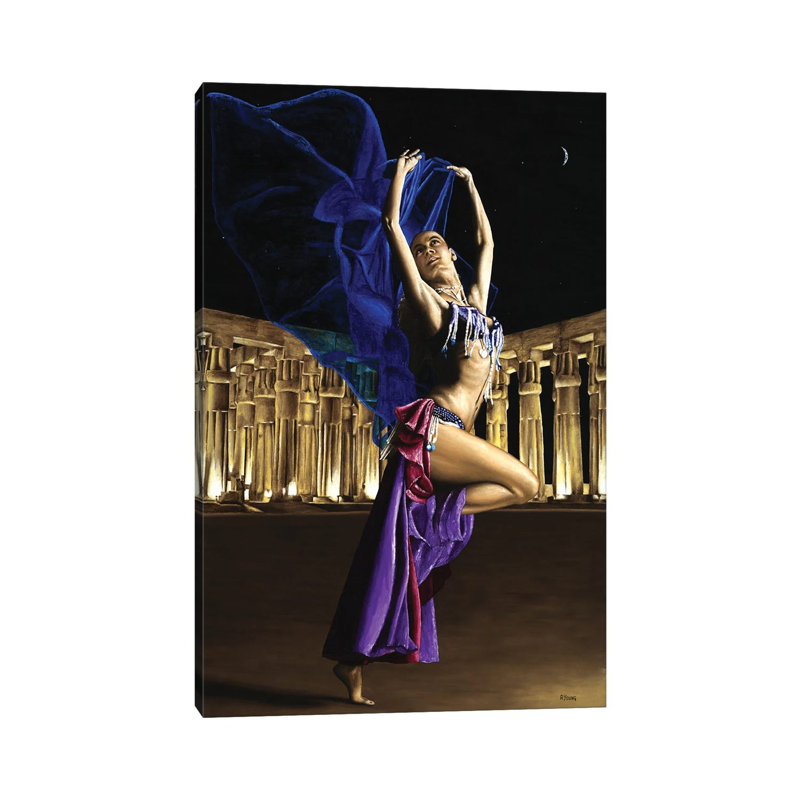 Sun Court Dancer by Richard Young - Gallery-Wrapped Canvas Giclée on Canvas, Wrapped Canvas, 20.32 cm H x 30.48 cm W