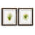 Papier, cadre noyer