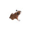Buster the bouledogue figurine