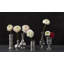 Measuring Beaker-40066427