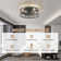 46cm Farmhouse Caged Ceiling Fan with Light Kit and Remote