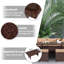 Siena Patio 8 - Person Polyethylene Dining Set With Cushion