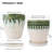 Set Of 2 Ceramic 6" Planter Pots With Drainage Saucers And Mesh Pads