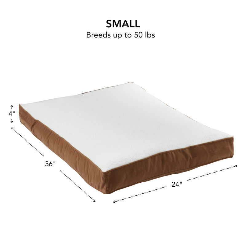 Lit pour chien avec coussin de soutien, Café au lait, Petit (l 36 po x P 24 po x H 4 po)