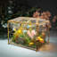 Terrarium en verre doré avec couvercle