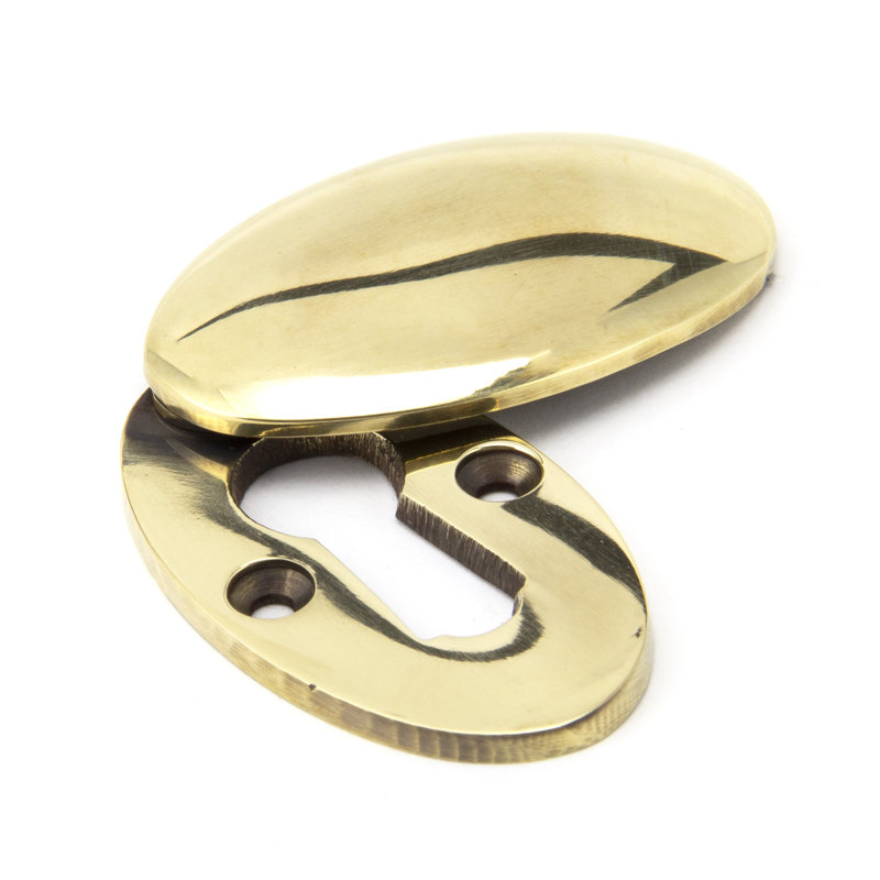 Escutcheon & Cover Door Accessory, Aged Brass