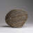 Cloche Or Water Globe