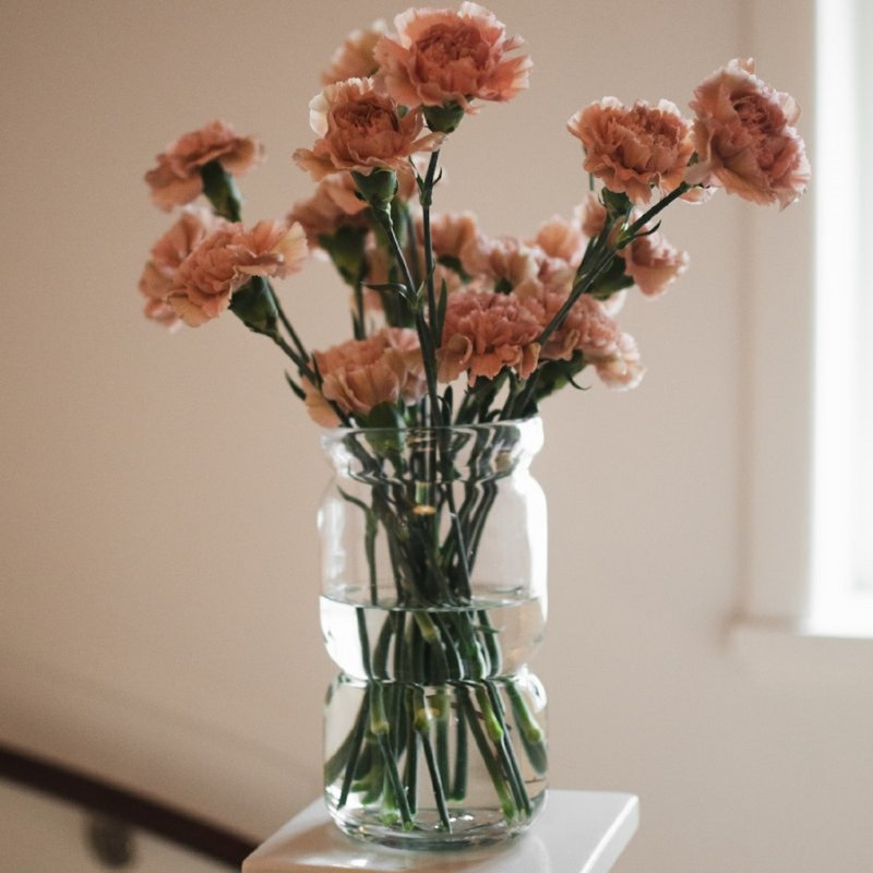 Neck Large - Clear