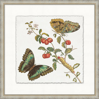 Garden Butterflies 2 - Peinture encadrée