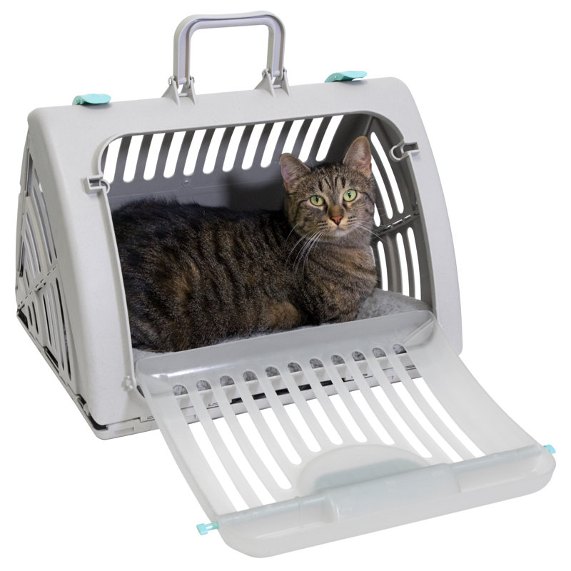 Small Gray Plastic Pet Carrier with Waterproof Bed