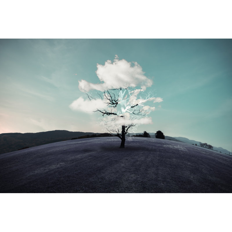 Drummans Dry Trees And Clouds by Sommart - Wrapped Canvas Print, 61cm H x 91cm W x 3.8cm D