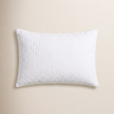Reyes Cotton Pillow Sham