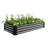 71.88In Long Black Metal Raised Planter For Growing Vegetables, Flowers, And Plants, Outdoor Garden, Rust - Proof, Open Base Soil Drainage L X 34.84In W 11.69In H Garden Bed , Design-274424742-274424744