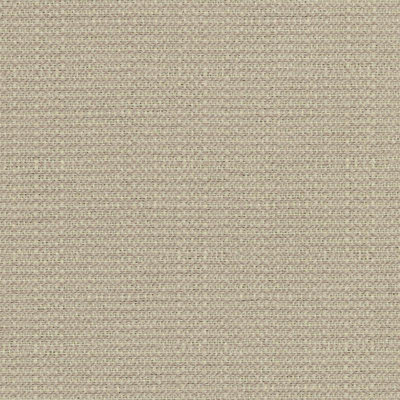 Crypton Home Wovens I Fabric