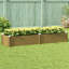Raised Garden Bed-850066695