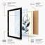 Single Bloom Study Botanical - Framed Print-1281048381-1281048374