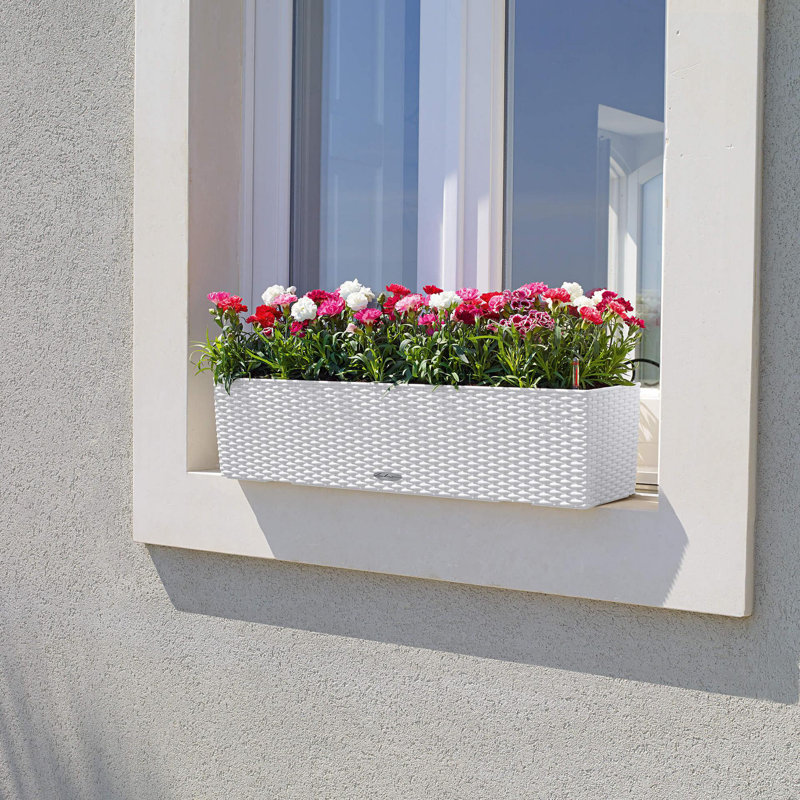 Balconera Window Box Planter, White, 19 cm H x 79 cm W x 19 cm D