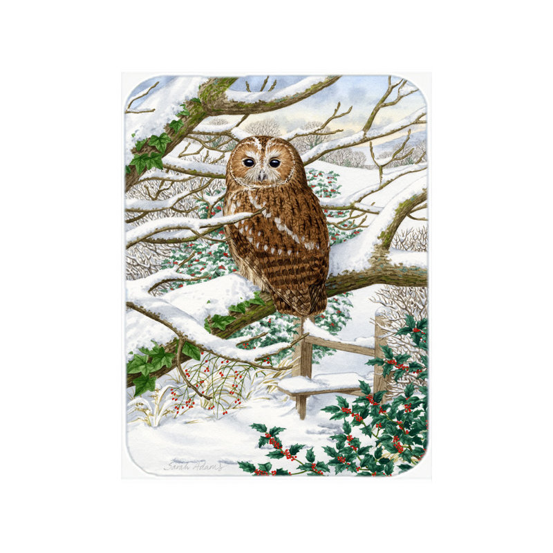 Planche à découper en verre trésors caroline Tawny Owl