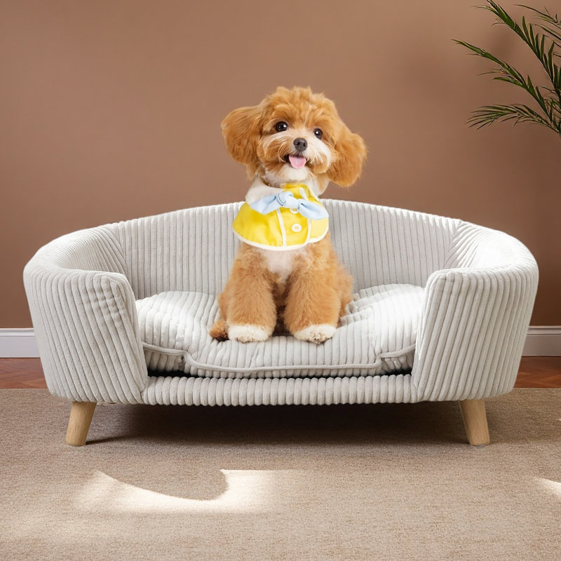 Cadre de lit pour chien surélevé pour petit chien, lit en velours côtelé avec pieds en bois d'hévéa et mousse de soutien, assemblage facile