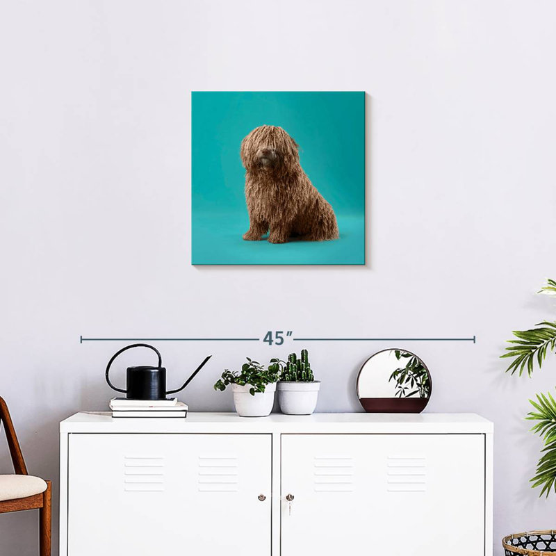 Crowle Komondor Dog, H 20 po x l 20 po