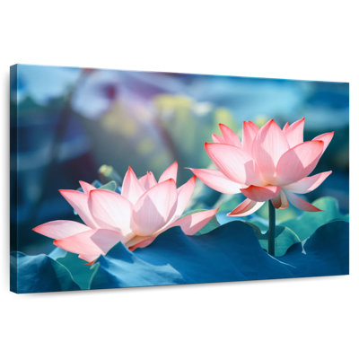 Fleurs de lotus Harnek