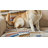 Painted Desert Reversible Quilted Throw-56472638
