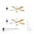 Prana 52'' Ceiling Fan with LED Lights-1107817980