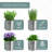 Indoor Herb Garden Planter Set with Tray-1028904030
