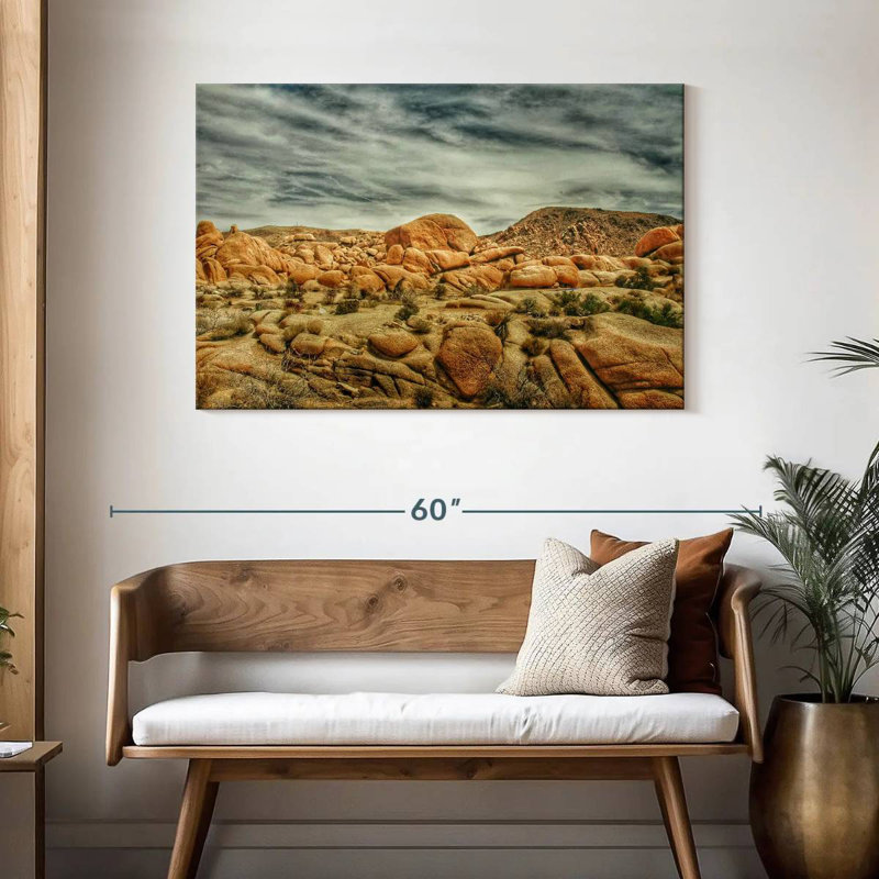 Nicci Rocky Joshua Tree Park, H 30 po x l 45 po