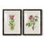 Pretty Pink Botanicals IV - Ensemble de 2 reproductions de cadres photo-1406763782-1406763784