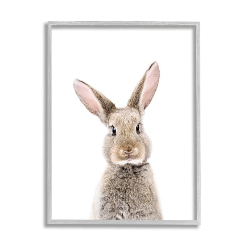 «Rabbit Face», impression encadrée sur bois, H 14 po x l 11 po x P 1,5 po, Estampe numérique Farmhouse