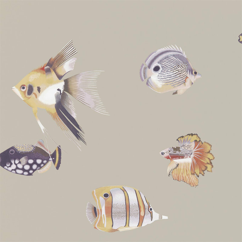 Kamanu Wallpaper, Mandarin/Fig