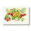 Vintage Illustration of Raspberries - Wrapped Canvas-55303690