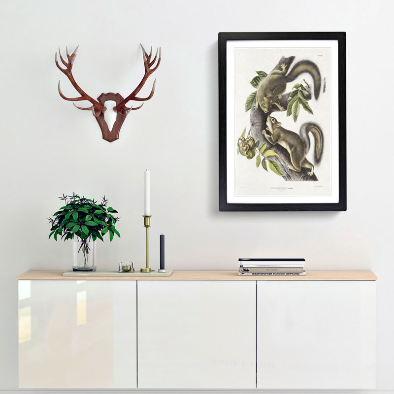 Hare Squirrels by J.W. Audubon - Picture Frame Painting Print, 36cm H x 27cm W x 2cm D, Black Framed