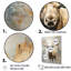 Portrait d'orignal beige et doré I-97055413-97055412